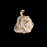 Selenite desert rose wire-wrapped pendant 16mm 5/6g in sunlight - Rocks and Things Store