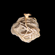 Selenite desert rose wire-wrapped pendant 16mm 5/6g in sunlight - Rocks and Things Store