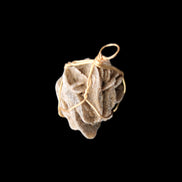 Selenite desert rose wire-wrapped pendant 16mm 5/6g in sunlight - Rocks and Things Store