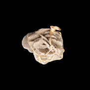 Selenite desert rose wire-wrapped pendant 16mm 5/6g in sunlight - Rocks and Things Store