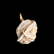 Selenite desert rose wire-wrapped pendant 16mm 5/6g in sunlight - Rocks and Things Store