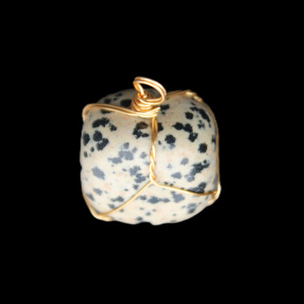 Leopard Stone wire wrapped pendant 23*16mm 18g in sunlight - Rocks and Things Store