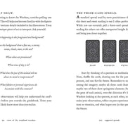 Tarot of the Woodland Wardens: 78-Card Deck & Guidebook in sunlight - Rocks and Things Store