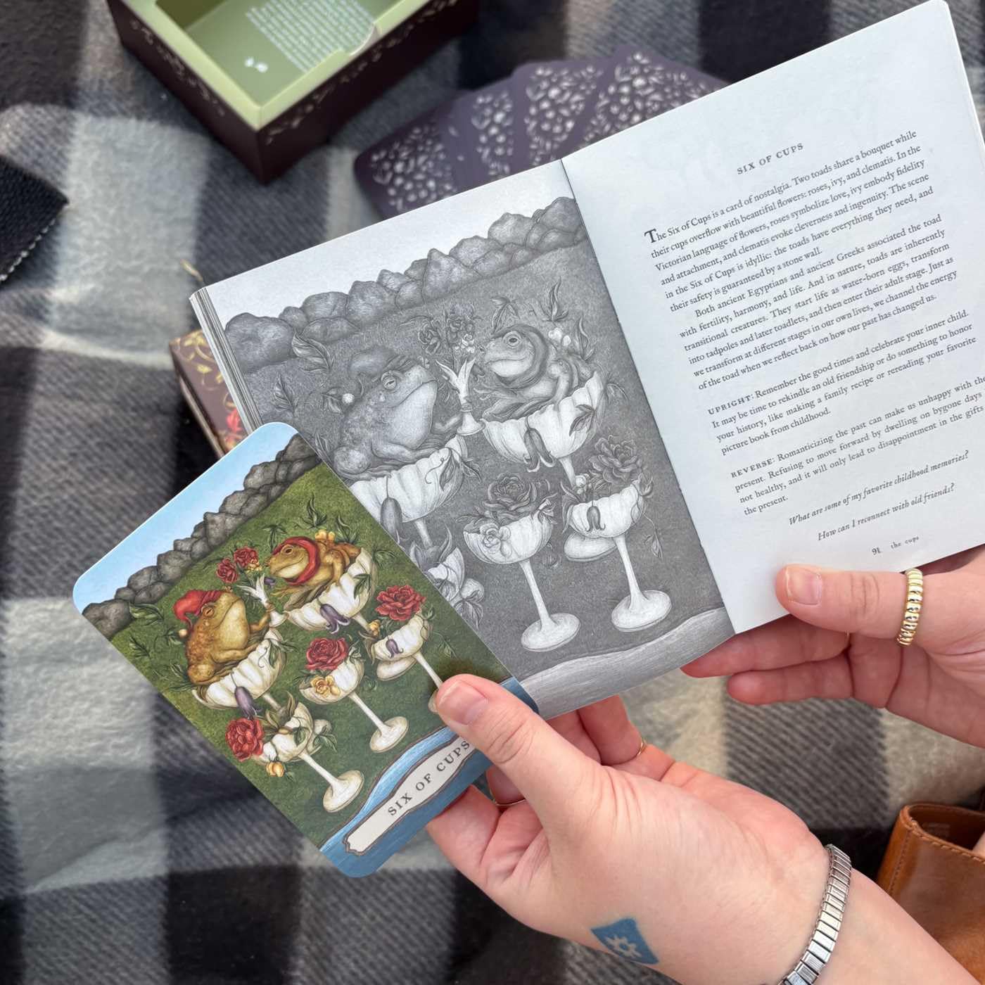Tarot of the Woodland Wardens: 78-Card Deck & Guidebook in sunlight - Rocks and Things Store
