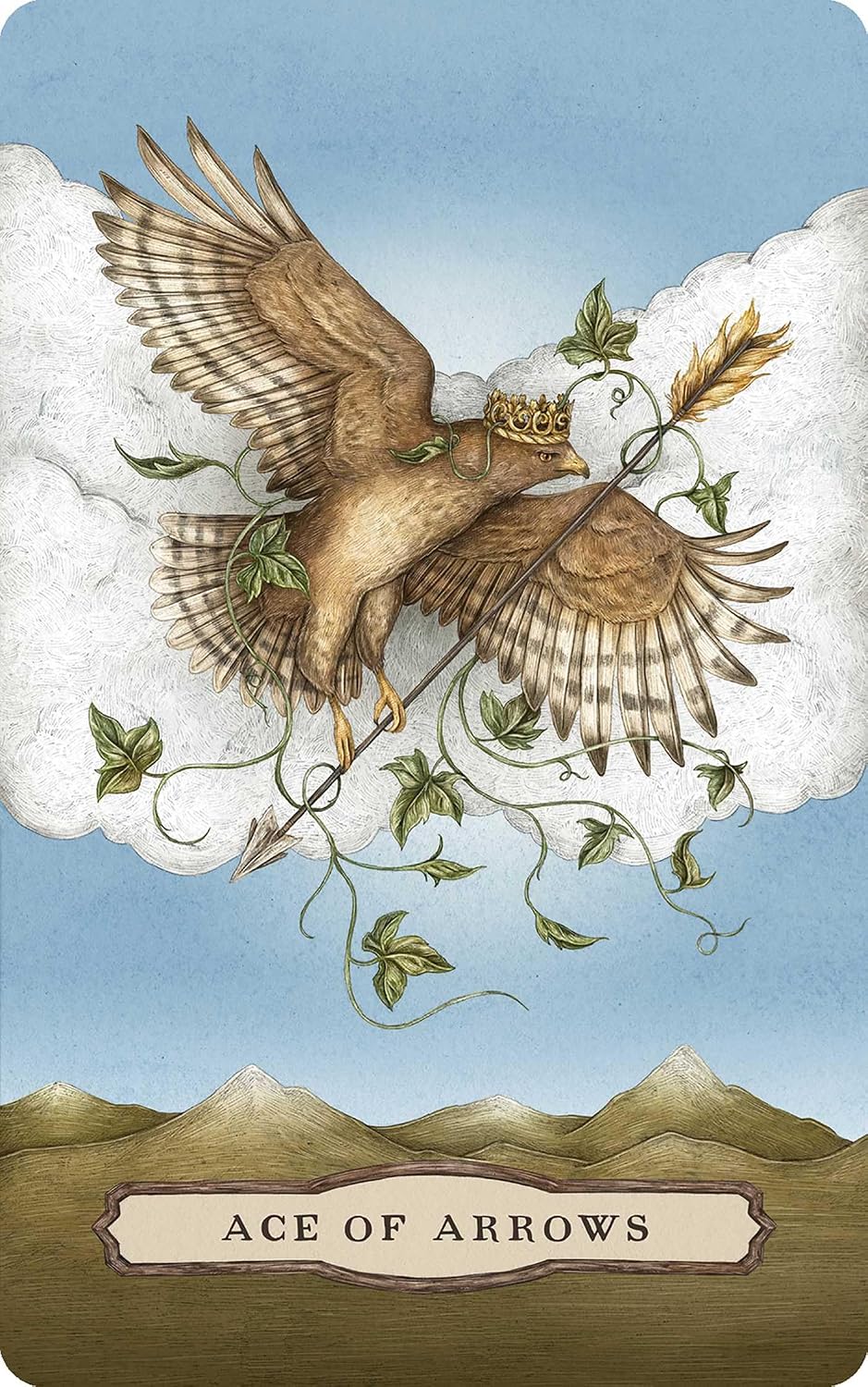 Tarot of the Woodland Wardens: 78-Card Deck & Guidebook in sunlight - Rocks and Things Store