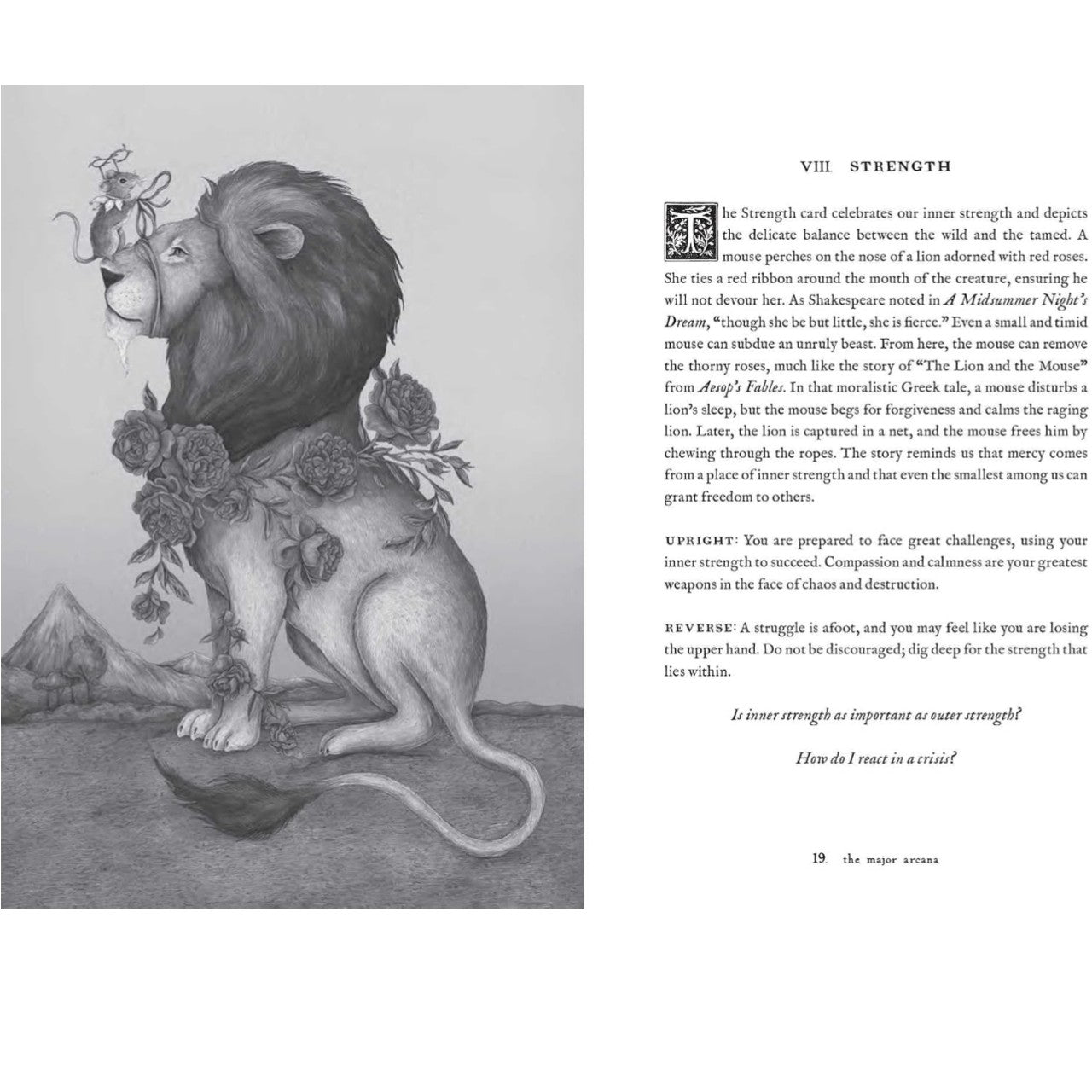 Tarot of the Woodland Wardens: 78-Card Deck & Guidebook in sunlight - Rocks and Things Store
