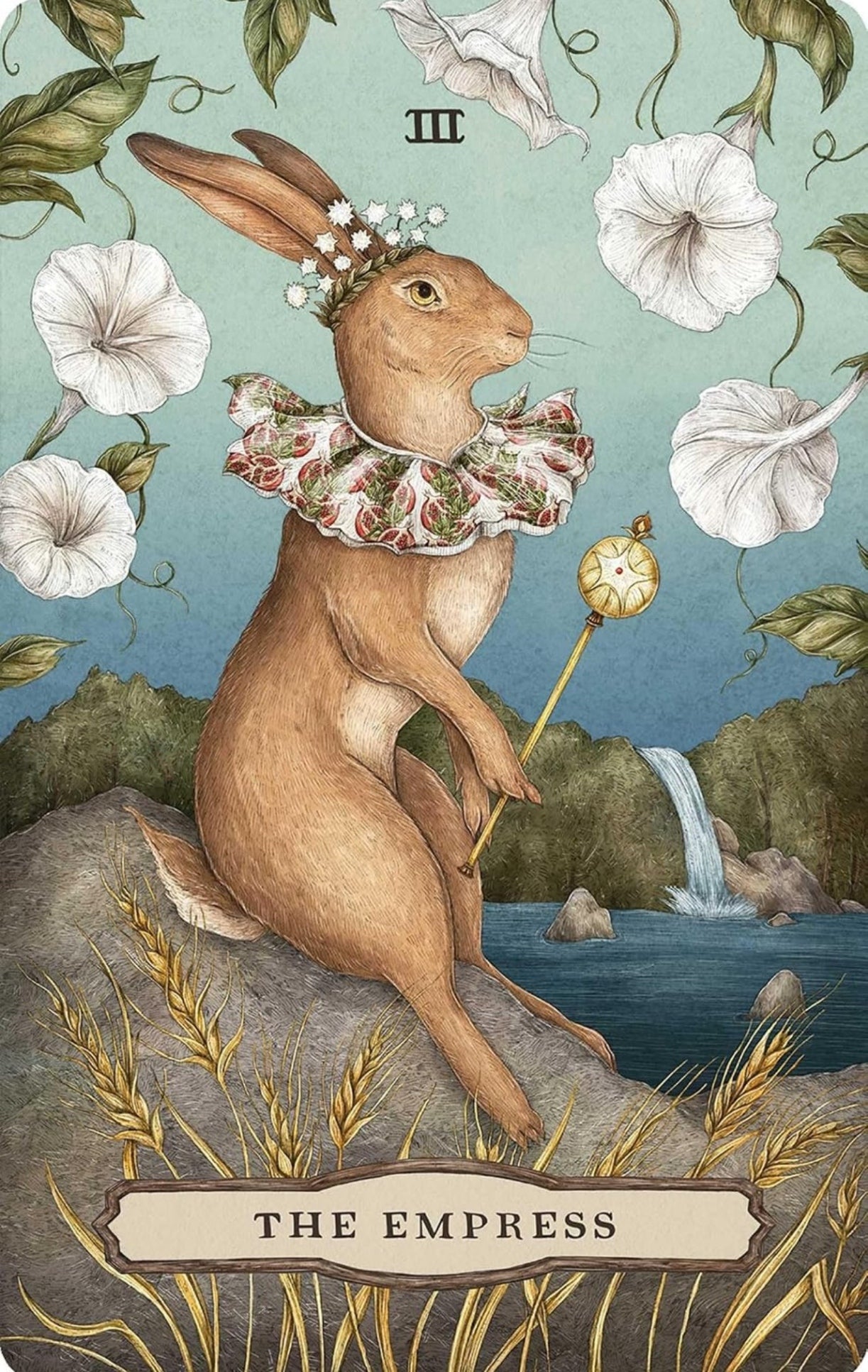 Tarot of the Woodland Wardens: 78-Card Deck & Guidebook in sunlight - Rocks and Things Store