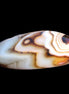 Crazy Lace Sardonyx Agate 41*15*12mm 15g in sunlight - Rocks and Things Store