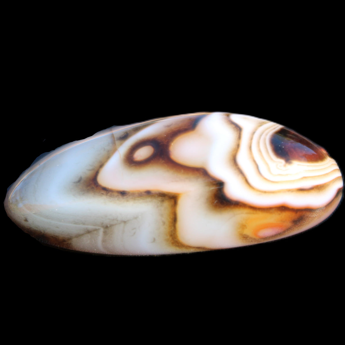 Crazy Lace Sardonyx Agate 41*15*12mm 15g in sunlight - Rocks and Things Store