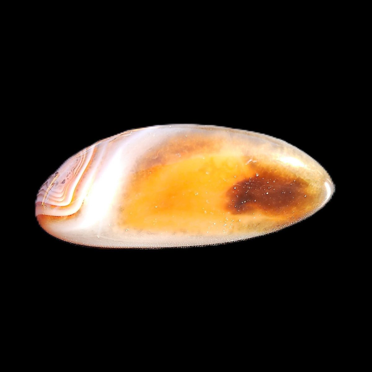 Crazy Lace Sardonyx Agate 41*15*12mm 15g in sunlight - Rocks and Things Store