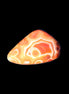 Crazy Lace Agate from Madagascar 36*23*6mm 11g in sunlight - Rocks and Things Store
