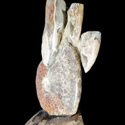 Large Ammonite specimen piece from Madagascar 310*190*120mm 4080g in sunlight - Rocks and Things Store
