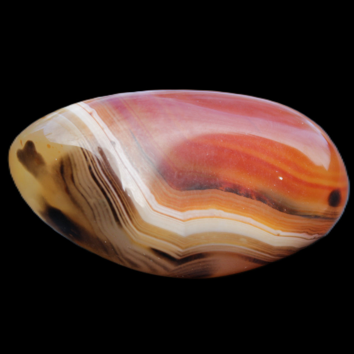 Crazy Lace Agate 50*27*24mm 44g in sunlight - Rocks and Things Store