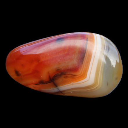 Crazy Lace Agate 50*27*24mm 44g in sunlight - Rocks and Things Store