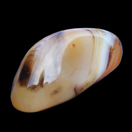 Crazy Lace Agate 50*27*24mm 44g in sunlight - Rocks and Things Store