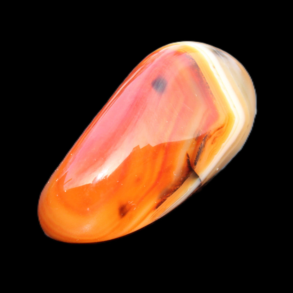 Crazy Lace Agate 50*27*24mm 44g in sunlight - Rocks and Things Store