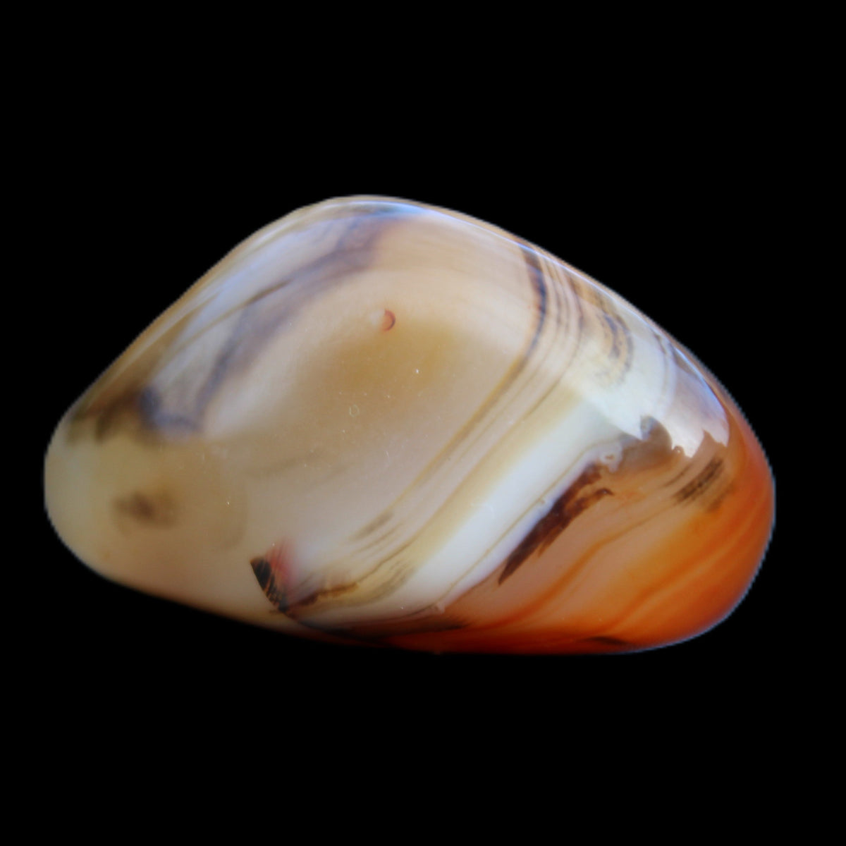 Crazy Lace Agate 50*27*24mm 44g in sunlight - Rocks and Things Store