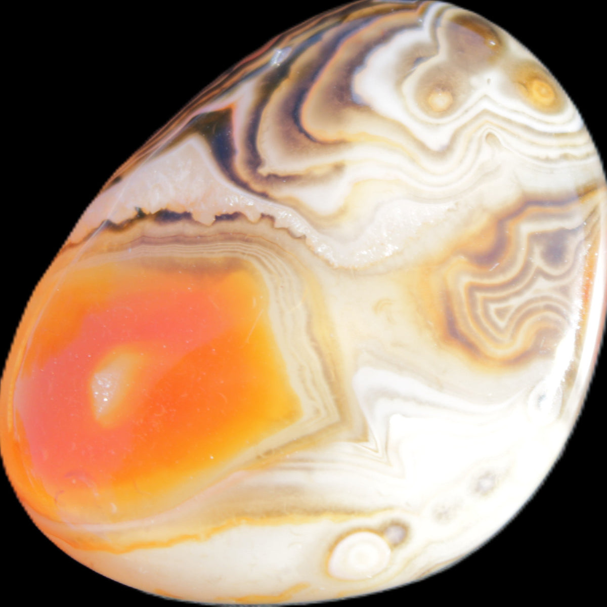 Crazy Lace Agate 47*37*19mm 46g in sunlight - Rocks and Things Store