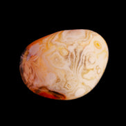 Crazy Lace Agate 47*37*19mm 46g in sunlight - Rocks and Things Store