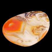 Crazy Lace Agate 47*37*19mm 46g in sunlight - Rocks and Things Store