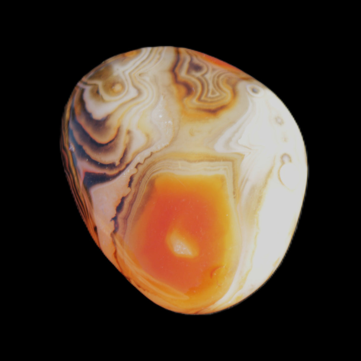 Crazy Lace Agate 47*37*19mm 46g in sunlight - Rocks and Things Store