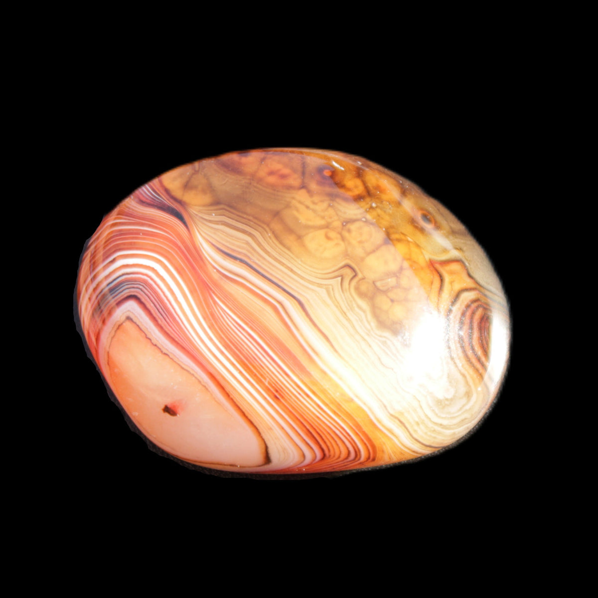 Crazy Lace Agate 48*36*17mm 41g in sunlight - Rocks and Things Store