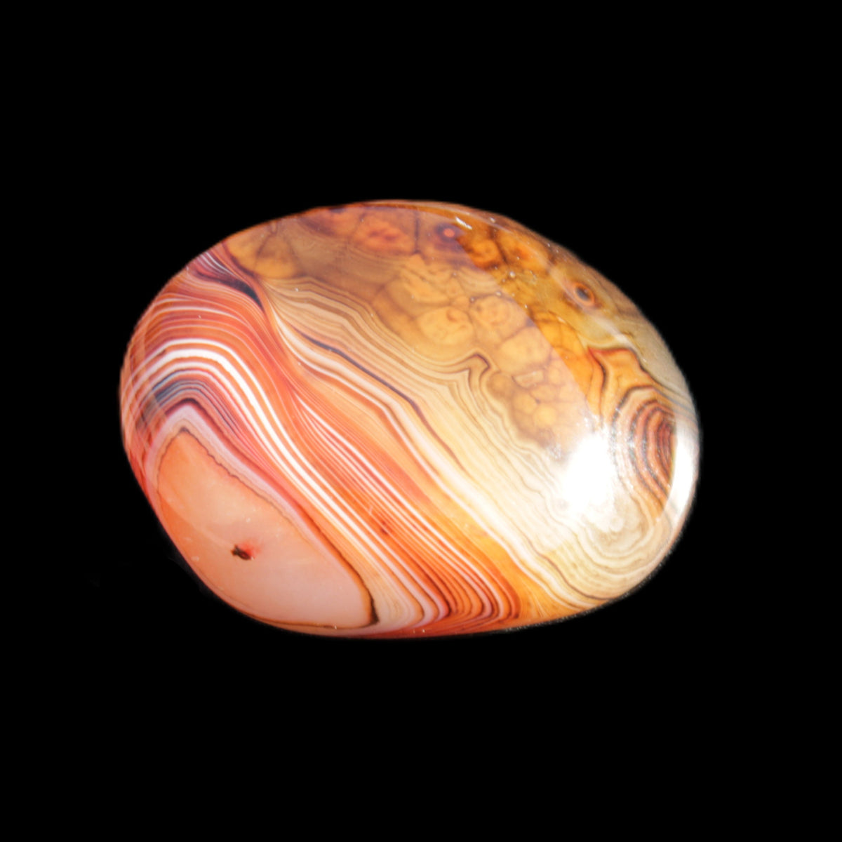 Crazy Lace Agate 48*36*17mm 41g in sunlight - Rocks and Things Store
