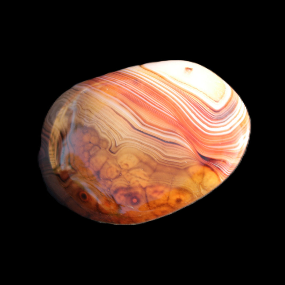 Crazy Lace Agate 48*36*17mm 41g in sunlight - Rocks and Things Store