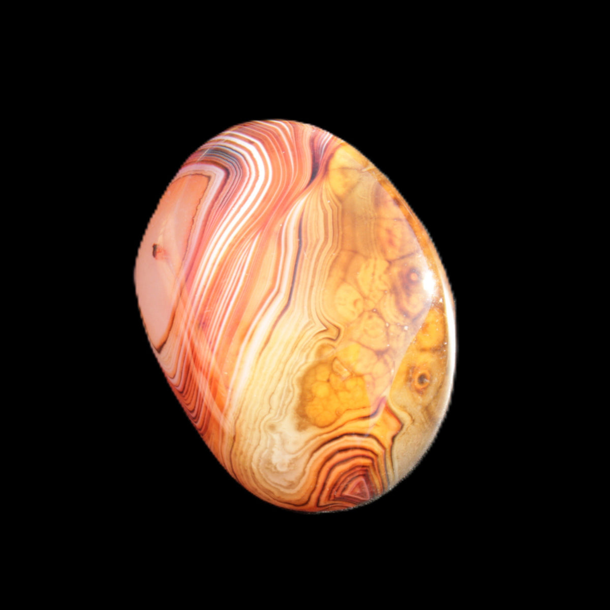 Crazy Lace Agate 48*36*17mm 41g in sunlight - Rocks and Things Store