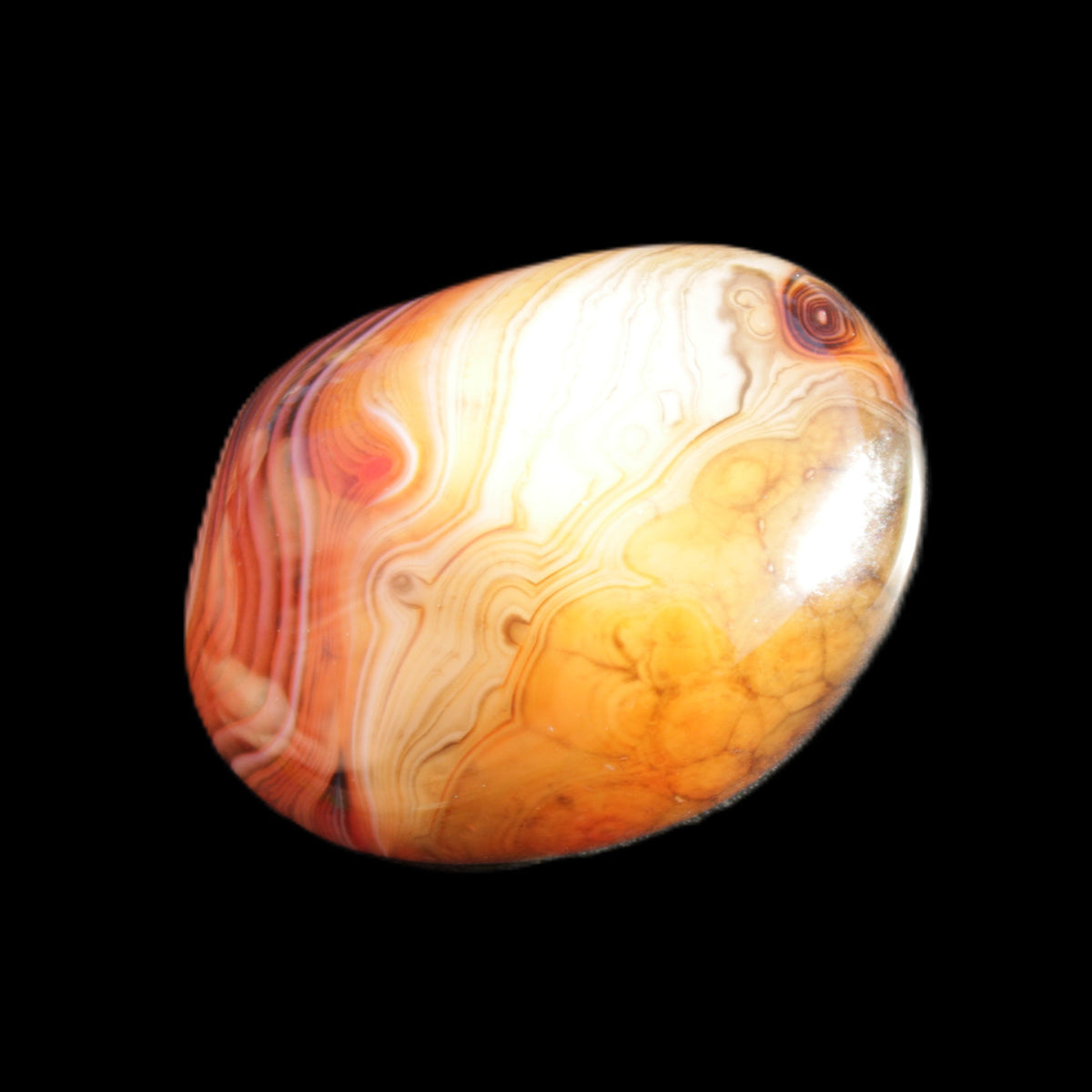 Crazy Lace Agate 48*36*17mm 41g in sunlight - Rocks and Things Store