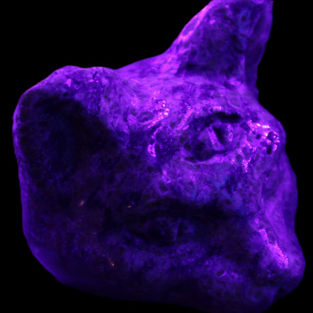 Yooperlite hand-carved Cat head 50*49mm 115g in UV light - Rocks and Things Store