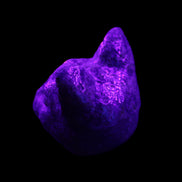 Yooperlite hand-carved Cat head 50*49mm 115g in UV light - Rocks and Things Store