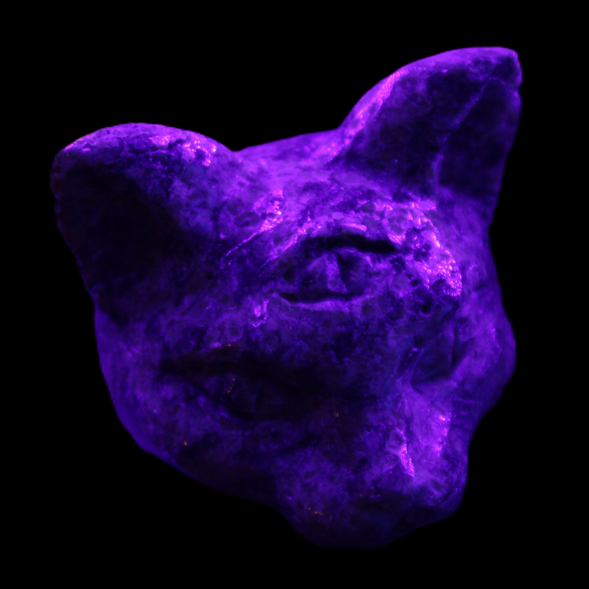 Yooperlite hand-carved Cat head 50*49mm 115g in UV light - Rocks and Things Store
