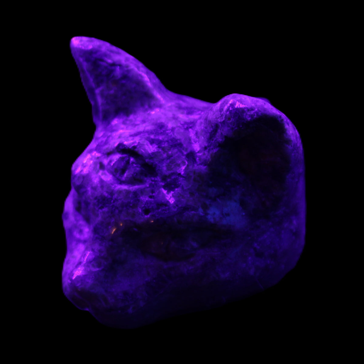 Yooperlite hand-carved Cat head 50*49mm 115g in UV light - Rocks and Things Store