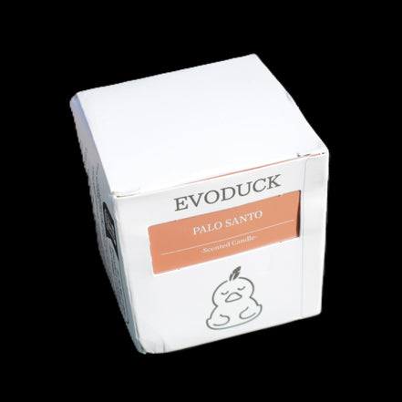 Palo Santo Scented Candle by EvoDuck in sunlight - Rocks and Things Store