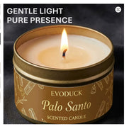 Palo Santo Scented Candle by EvoDuck in sunlight - Rocks and Things Store