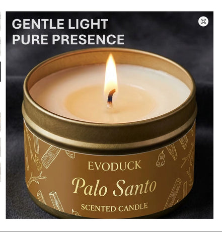 Palo Santo Scented Candle by EvoDuck in sunlight - Rocks and Things Store