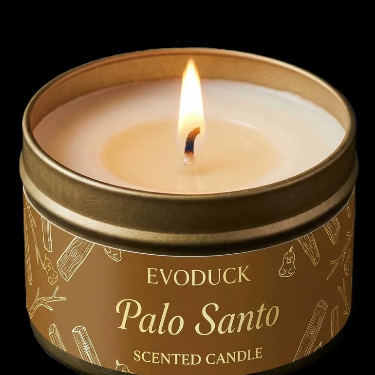 Palo Santo Scented Candle by EvoDuck in sunlight - Rocks and Things Store