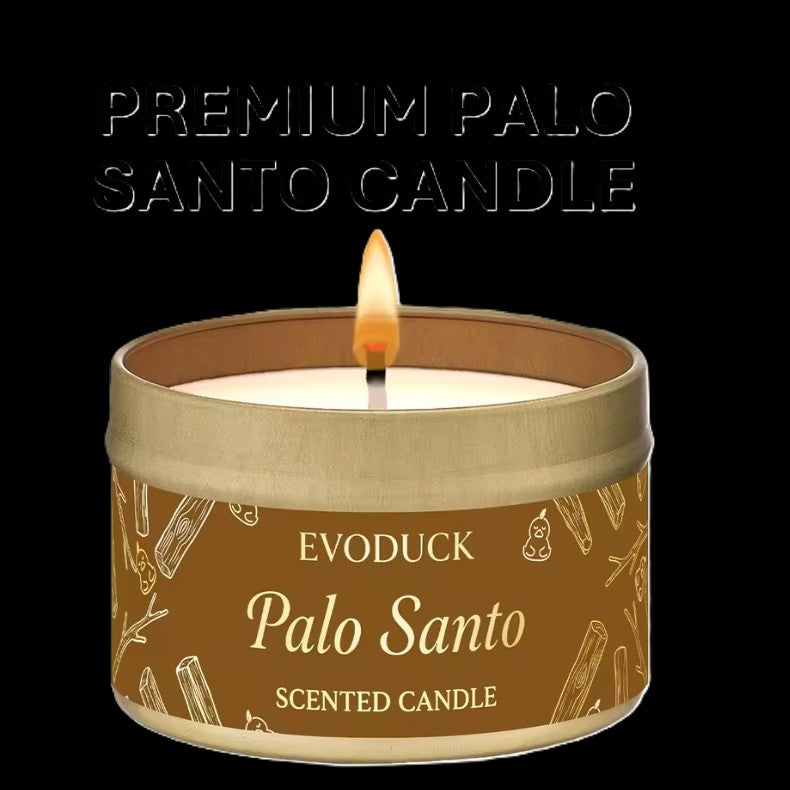 Palo Santo Scented Candle by EvoDuck in sunlight - Rocks and Things Store