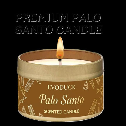 Palo Santo Scented Candle by EvoDuck in sunlight - Rocks and Things Store