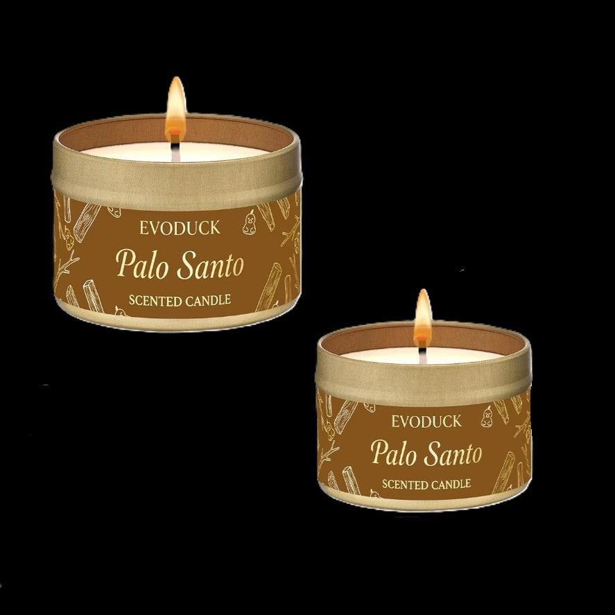 Palo Santo Scented Candle by EvoDuck in sunlight - Rocks and Things Store