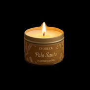Palo Santo Scented Candle by EvoDuck in sunlight - Rocks and Things Store
