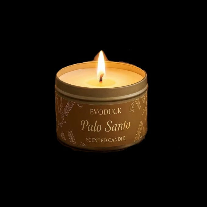 Palo Santo Scented Candle by EvoDuck in sunlight - Rocks and Things Store