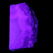 Blue Lace Flower Agate slice 70*38*15mm 92g in UV light - Rocks and Things Store