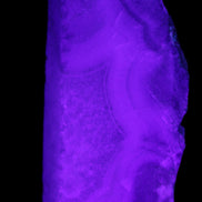 Blue Lace Flower Agate slice 70*38*15mm 92g in UV light - Rocks and Things Store