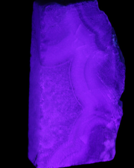 Blue Lace Flower Agate slice 70*38*15mm 92g in UV light - Rocks and Things Store
