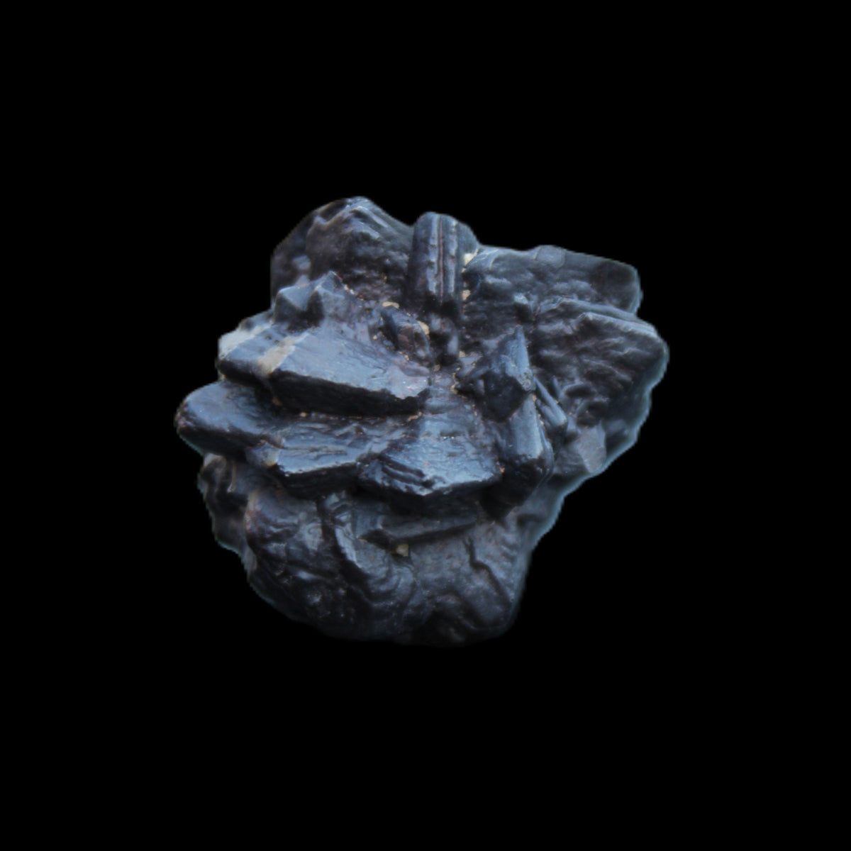 Carbonado Diamond Prophecy stone from Egypt 32*30*25mm 32g in sunlight - Rocks and Things Store