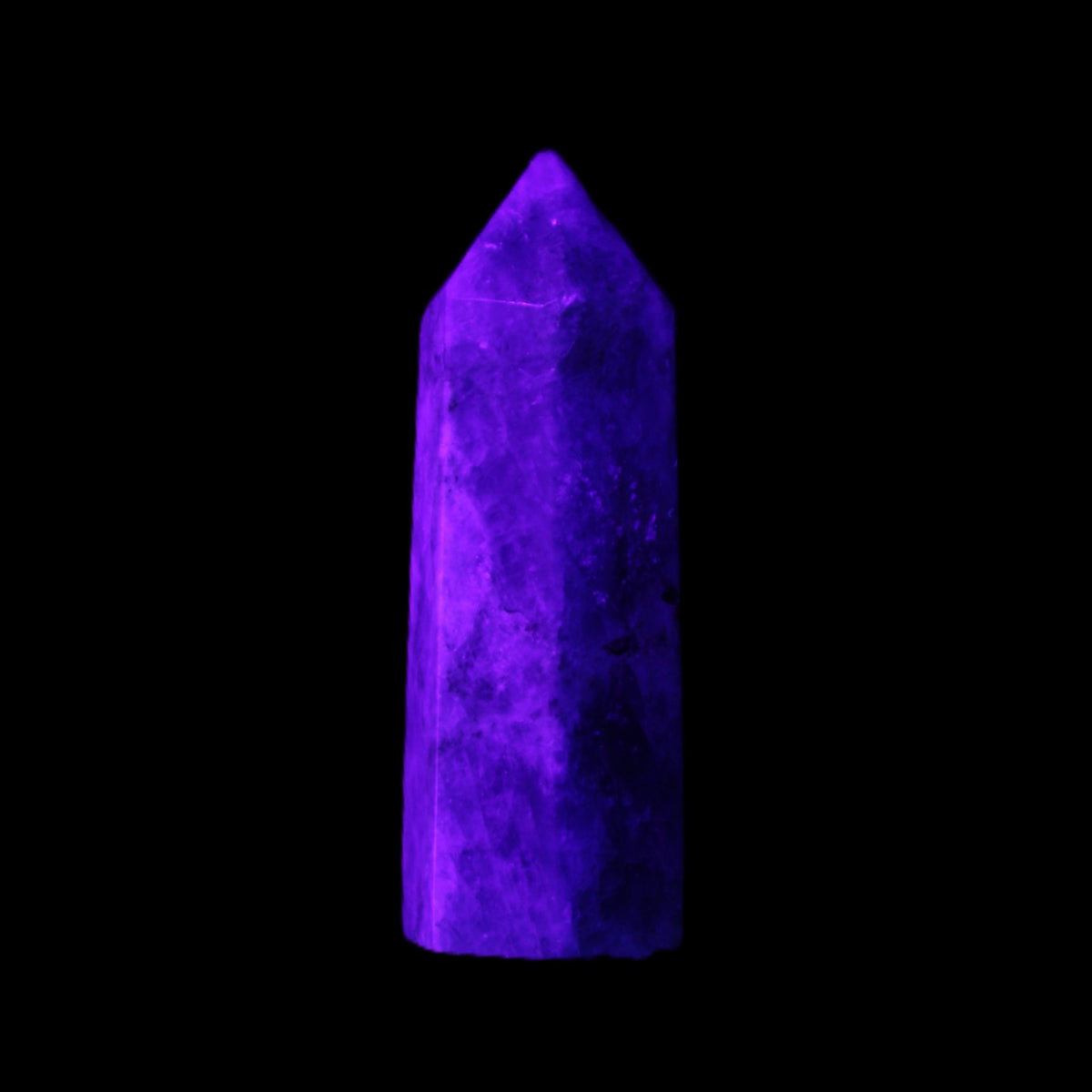 Apatite wand 22*19*59mm 46g in UV light - Rocks and Things Store