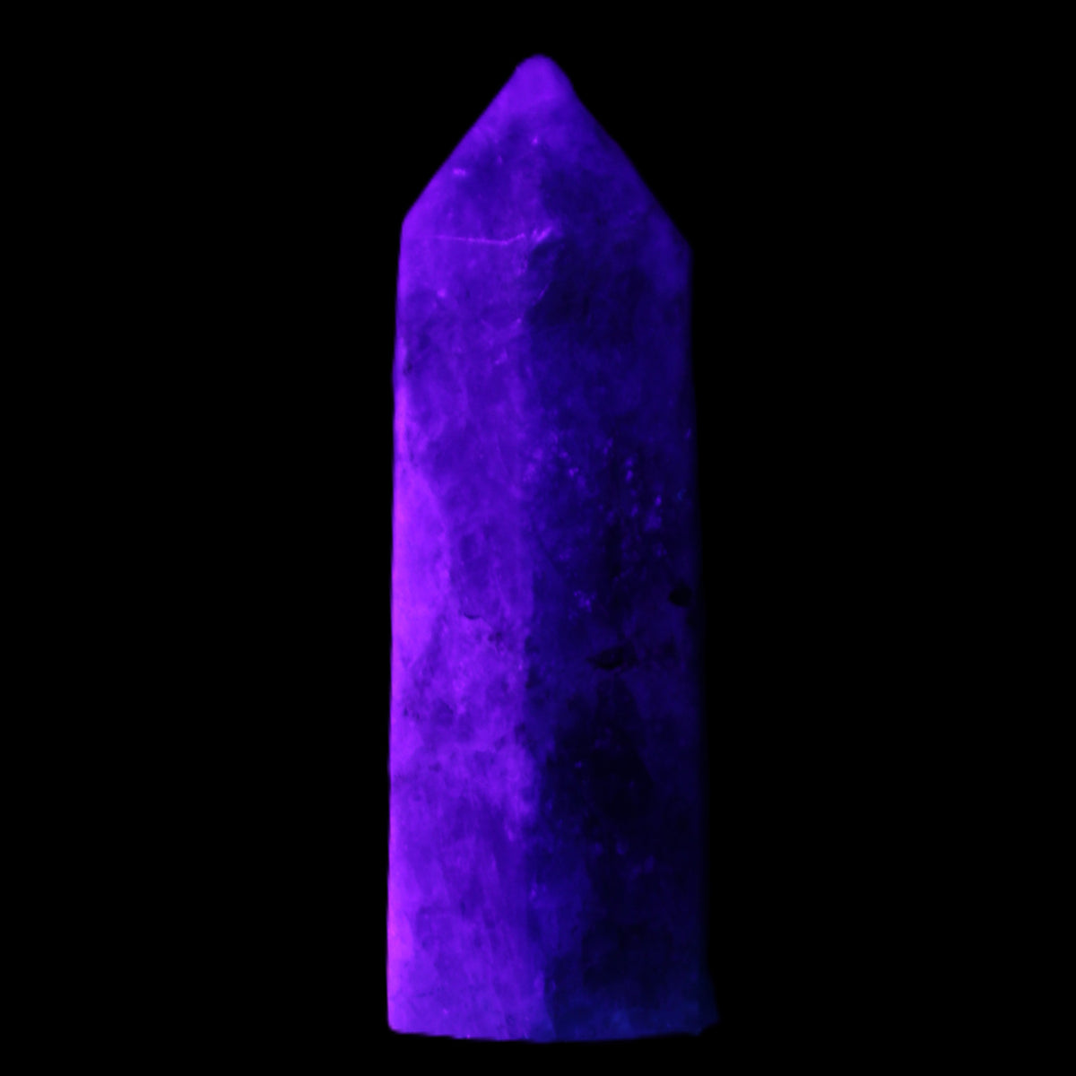 Apatite wand 22*19*59mm 46g in UV light - Rocks and Things Store