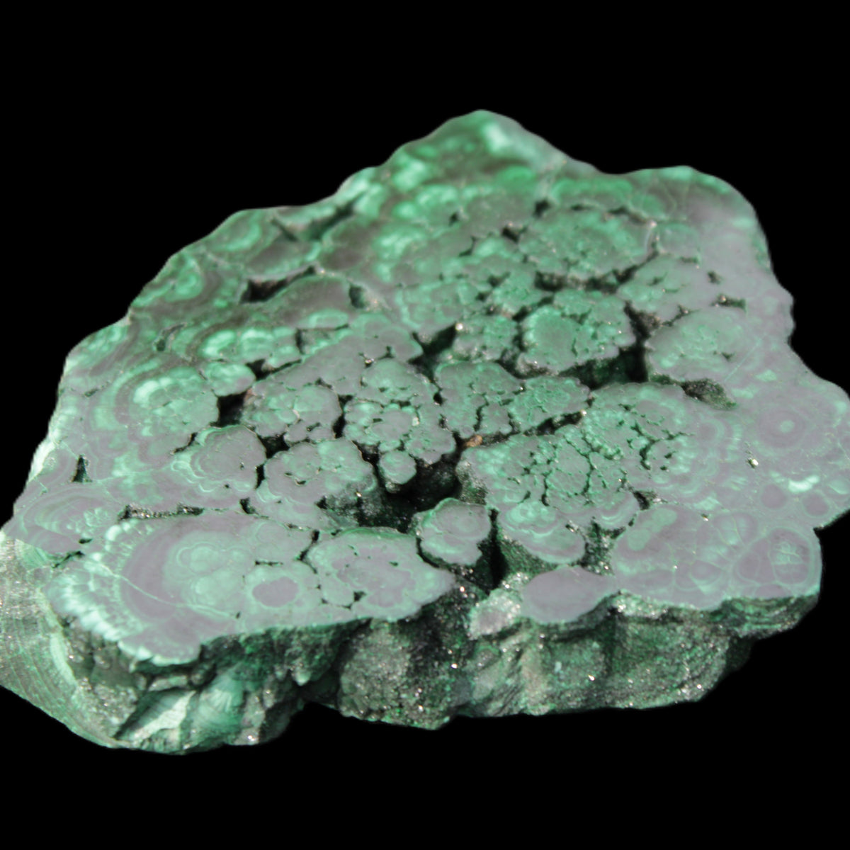 Glossy Malachite polished slice 92*78*12mm 226g in sunlight - Rocks and Things Store